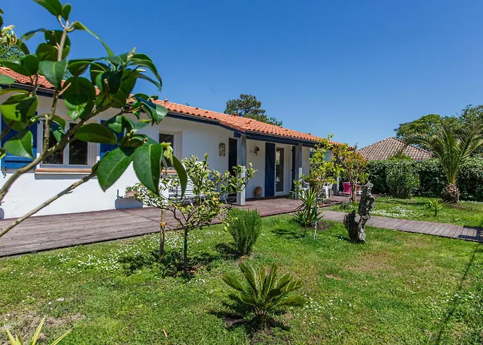 Ocean 974 By Interhome